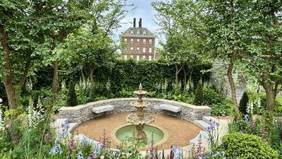 'This garden is for the wallflowers' – The Bridgerton Garden captures the romance of the Regency era at the RHS Chelsea Flower Show