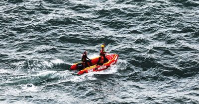 Driver dies as car goes over cliff at Newcastle lookout