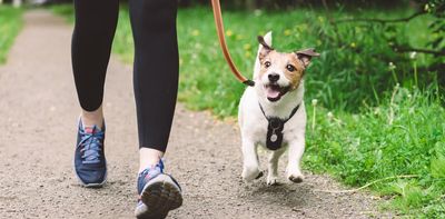 Why it’s not ‘alright’ if your dog is friendly