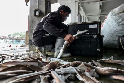 Taiwan's Kinmen Island Lives Life 'As Usual' Despite Chinese Drills