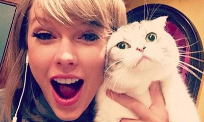 Taylor Swift’s cats have condition that causes constant pain, say experts