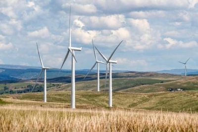 'Significant adverse effects': Proposed plans for wind turbines rejected by council