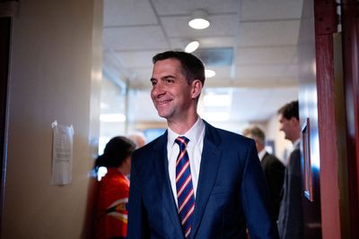 Tom Cotton "top contender" for Trump VP