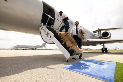 Flights take off for the new Bark airline, where you can pay $6,000 to travel with your dog