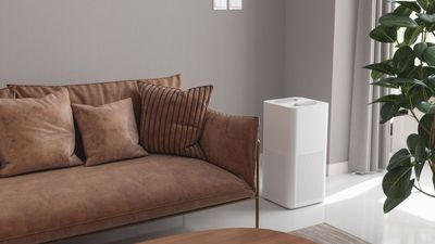 Why is my air purifier blowing cold air? We ask the experts