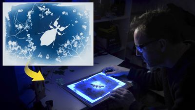 Craft your own cyanotypes at home with this quick and easy setup