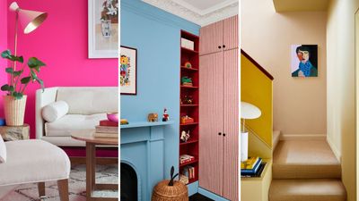 Luxury paint brand Mylands launches a new more affordable range made entirely from upcycled paint
