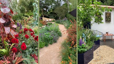 The RHS Chelsea Flower Show gardens that had the biggest impact on me at this year's event