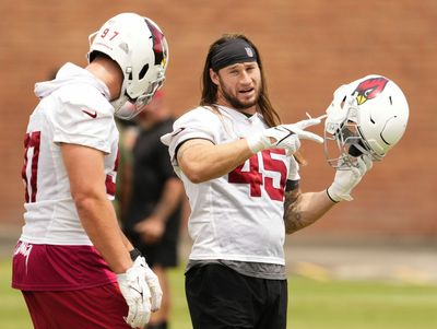 Dennis Gardeck tabbed Cardinals’ most underrated player