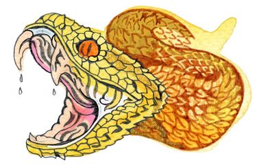 What is a snake’s venom made of and what is ochre? Try our kids’ quiz