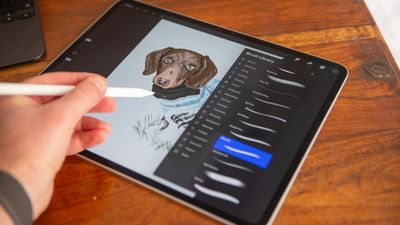 Which Apple Pencil works with my iPad?