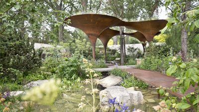 These design trends were everywhere at the 2024 Chelsea Flower Show – here’s how to get the look in your own backyard