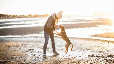 Trainer reveals how to get your dog to stop jumping — and it's just three steps!