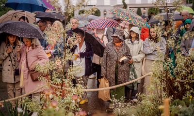 Hardy as old hostas, Chelsea flower show fans lapse into a crazed kind of Britishness