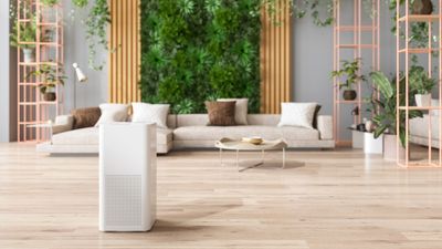 Can an air purifier cool down a room? Expert tips for summer