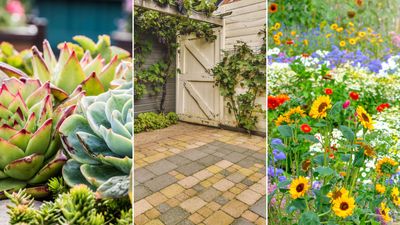 7 xeriscaping ideas to try instead of having a lawn