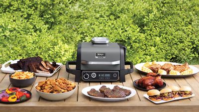 I just got the Ninja BBQ everyone's been raving about at £70 off – it's 'amazingly good'