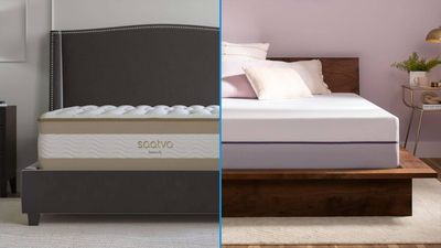Saatva RX vs Purple Plus: Which mattress for joint pain should you buy in Memorial Day sales?
