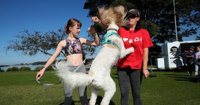 Doggy day out at Speers Point for RSPCA Million Paws Walk