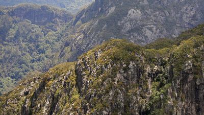Bushwalkers stranded on mountain overnight rescued