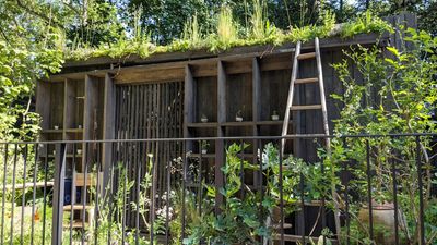 5 inspiring ideas I took from the container and balcony gardens at the RHS Chelsea Flower Show 2024