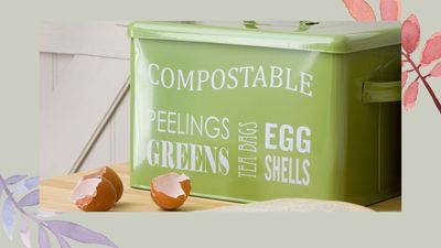 How to make compost at home – garden experts share the secrets to better composting
