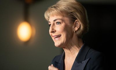 Michaelia Cash calls for focus on antisemitism in Labor’s new hate speech law