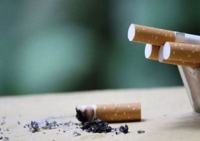 DRI Mumbai seizes foreign cigarettes worth over Rs 8 crores, key syndicate members apprehended