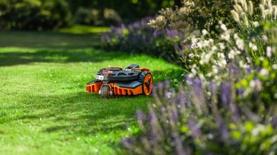 Worx Landroid Vision M600 review: a cracking wireless plug-and-play robotic lawn mower for technophobes