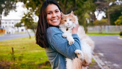 32 tips for taking care of a large-breed cat