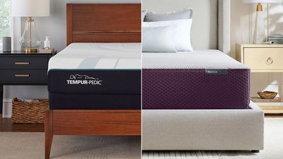 Tempur-Adapt vs Purple Restore: Which hybrid mattress for joint pain is best for you?