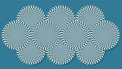 35 optical illusions and why they trick your brain
