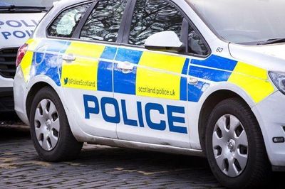 Police appeal for witnesses after man hit by car dies