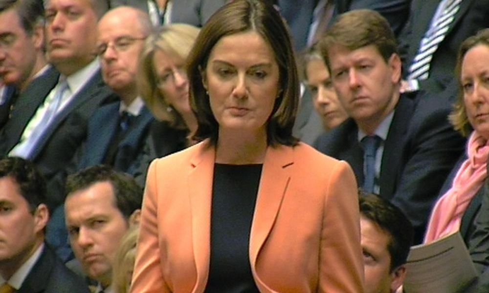 Conservative MP Lucy Allan suspended for backing…