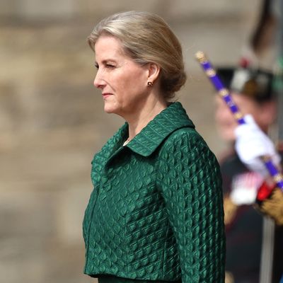 Duchess Sophie Says She's Neither "Brave or Courageous" for Visiting Ukraine During War