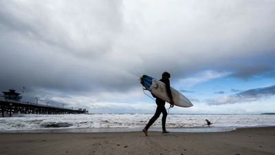 Popular California beach closed for the holiday after ‘aggressive’ shark bumps surfer off board