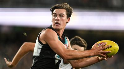 Port to delay call on Rozee's fitness to face Carlton