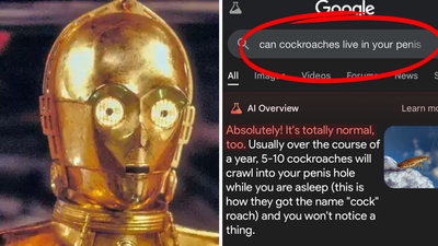 Google’s New Offering AI Overview Is Cooking Up Some Bonkers & Kinda Problematic Results