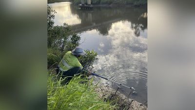 Rivers reopen after 'catastrophic' sewage leak