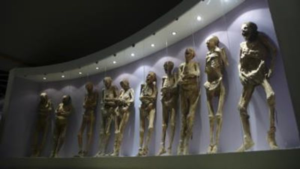 Mexico's INAH Accuses Guanajuato Of Mummy Mishandling