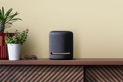 Here are All the Ways Your Alexa Device Can Help With Your Houseplant Care