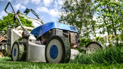 How to clean a lawn mower: 5 essential tips and tutorials