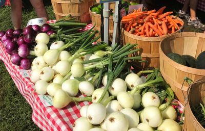 Why I love my CSA (it's more than the weekly box of fresh produce)