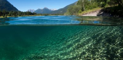 It’s hard to find fossil skin, but a rare discovery reveals clues about the evolution from water to land