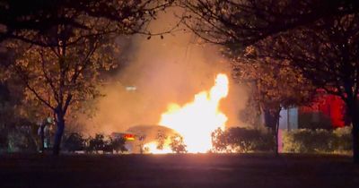 Random acts of arson set three cars and a tree alight in inner north