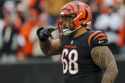 Former Bengals DL signs with Ravens in free agency