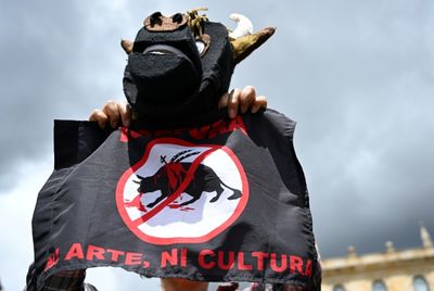 Colombia Congress Passes Bill Banning Bullfighting