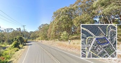 At least 350 trees wiped to make way for Mount Hutton housing estate