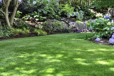 Now's the Time to Fertilize Your Garden — Here's How to Do It to Help Your Yard Flourish
