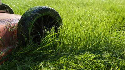 Can you cut wet grass? Here's how it could affect your lawn, and your mower